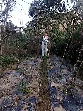 linda bae00 online show from 27, 11, 2025