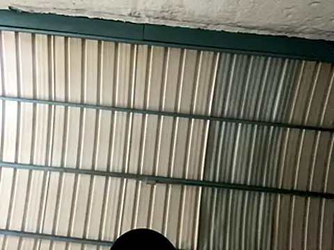 Snapshot of rider239 chatting on 24, 10, 2025 rider239 online show from 24, 10, 2025