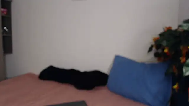   abrill   online show from 15, 11, 2025