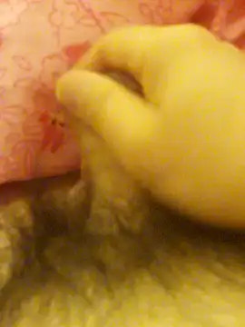 Hl1979 online show from 27, 2, 2026