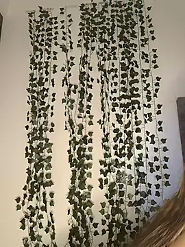 butterfly777  online show from 11, 1, 2026