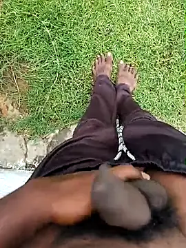 dolphiinn online show from 9, 11, 2025