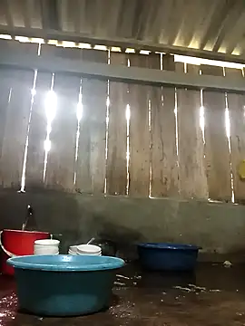 Ngocmi909 online show from 17, 11, 2025