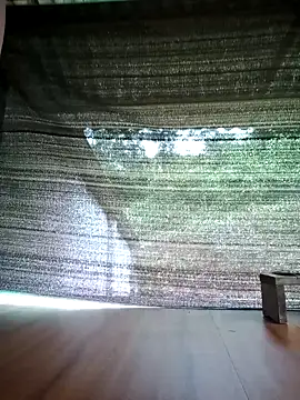 Georgia here online show from 5, 10, 2025