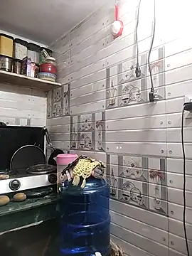 meenu bhabhi547 online show from 15, 4, 2026