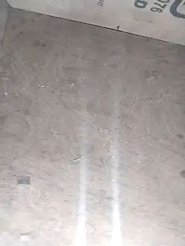 avi007p online show from 28, 2, 2026