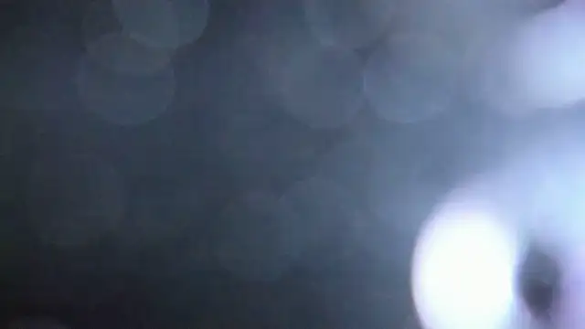 Snapshot of Luna_Analya chatting on 5, 2, 2026 Luna Analya online show from 5, 2, 2026