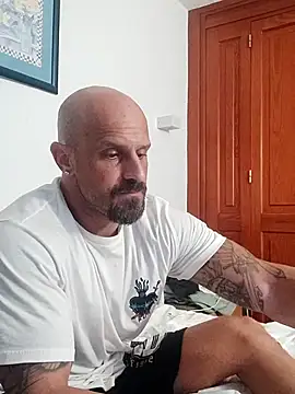 Snapshot of Visto36 chatting on 7, 7, 2026 Visto36 online show from 7, 7, 2026