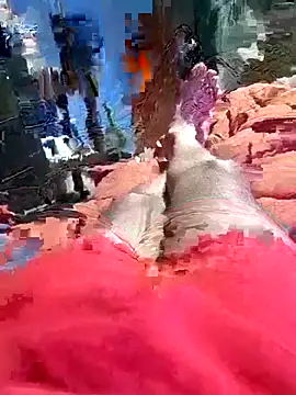 QJHoElyking online show from 10, 10, 2025