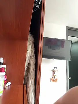 Isabellaa Palacios online show from 18, 4, 2026