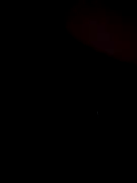 stevo170t online show from 13, 11, 2025