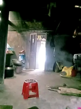 ngan-cute online show from 6, 3, 2026