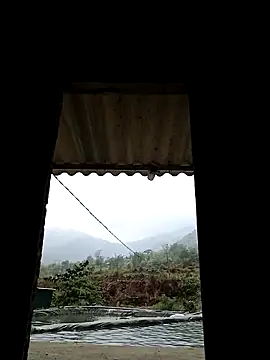 ngan-cute online show from 23, 4, 2026