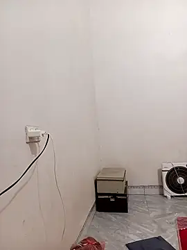 sumy-00 online show from 5, 11, 2025