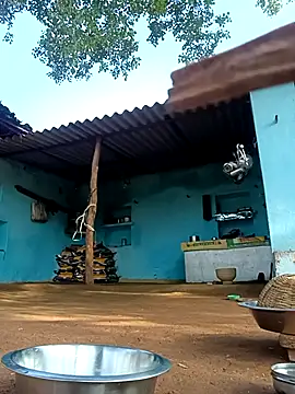 Hot-honi online show from 2, 11, 2025