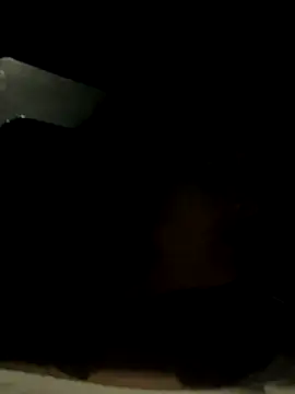 ditzycryztal online show from 17, 10, 2025