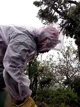 tcm-cute online show from 3, 11, 2025