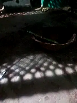 parmila203 online show from 8, 4, 2026