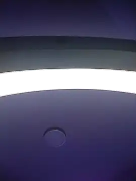  paulaaa online show from 15, 11, 2025