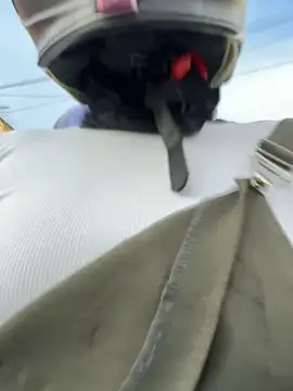 AlannaEvons online show from 6, 11, 2025