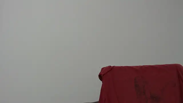 Rocky Muscle online show from 5, 2, 2026