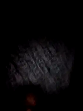 bajoderx585Oregano online show from 17, 11, 2025