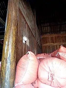 Snapshot of hera-00 chatting on 20, 9, 2025 hera-00 online show from 20, 9, 2025