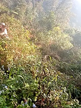 hera-00 online show from 19, 12, 2025