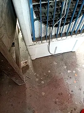 AglowShape online show from 24, 11, 2025