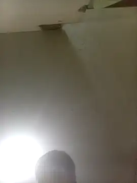 Bebicho14 online show from 22, 11, 2025