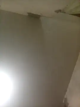 Bebicho14 online show from 3, 4, 2026