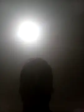 Bebicho14 online show from 10, 4, 2026