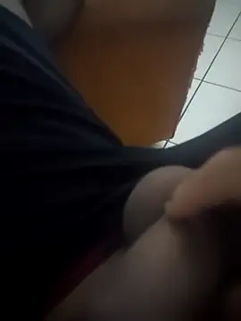 Novin23cms online show from 14, 12, 2025