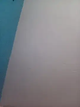 Snapshot of Alina-khan chatting on 25, 10, 2025 Alina-khan online show from 25, 10, 2025