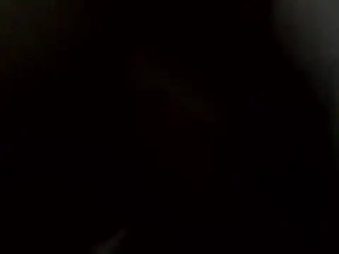 angelitocalientico online show from 14, 11, 2025