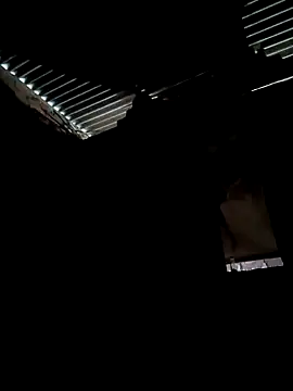 Gustavo1135e online show from 13, 10, 2025