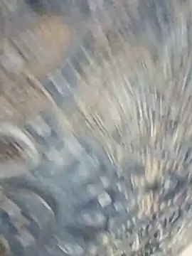 HAANNIAA online show from 2, 12, 2025