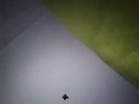 Snapshot of Ladyetcetera chatting on 30, 9, 2025 Ladyetcetera online show from 30, 9, 2025