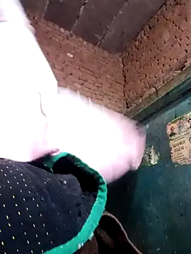 Rashili jaan online show from 4, 2, 2026