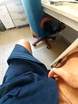 hpp66 online show from 24, 2, 2026