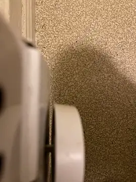 Snapshot of Pedro98801 chatting on 18, 12, 2025 Pedro98801 online show from 18, 12, 2025