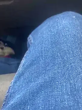 Snapshot of Pedro98801 chatting on 2, 2, 2026 Pedro98801 online show from 2, 2, 2026