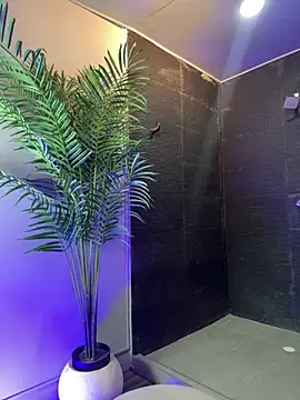 Tayler Kim online show from 10, 4, 2026