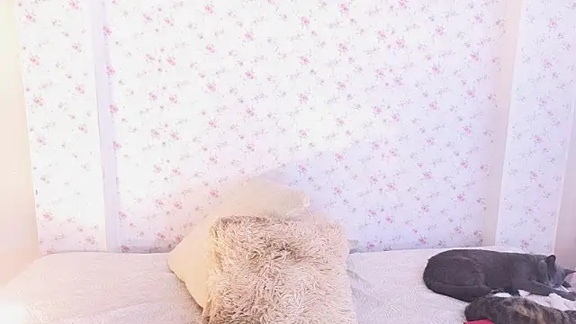 dahiana marin online show from 2, 2, 2026