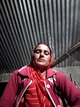 Jalebi bay online show from 11, 11, 2025