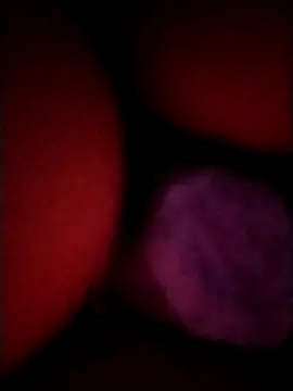 Snapshot of _tetas_92 chatting on 21, 4, 2026 tetas 92 online show from 21, 4, 2026