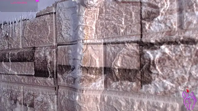 Bicky 24 online show from 9, 3, 2026