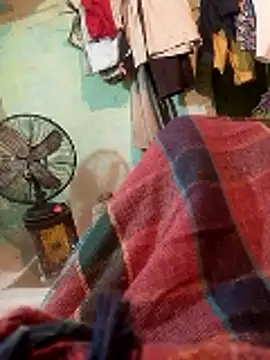 Snapshot of CUTE-004 chatting on 11, 1, 2026 CUTE-004 online show from 11, 1, 2026