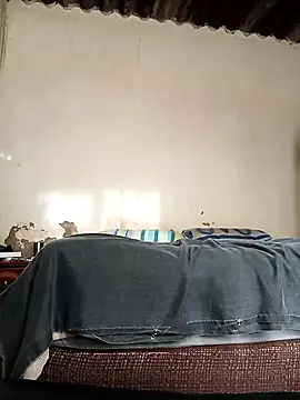 Snapshot of average_price chatting on 8, 10, 2025 average price online show from 8, 10, 2025