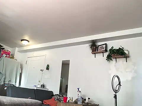 Snapshot of littyleesh1 chatting on 13, 1, 2026 littyleesh1 online show from 13, 1, 2026